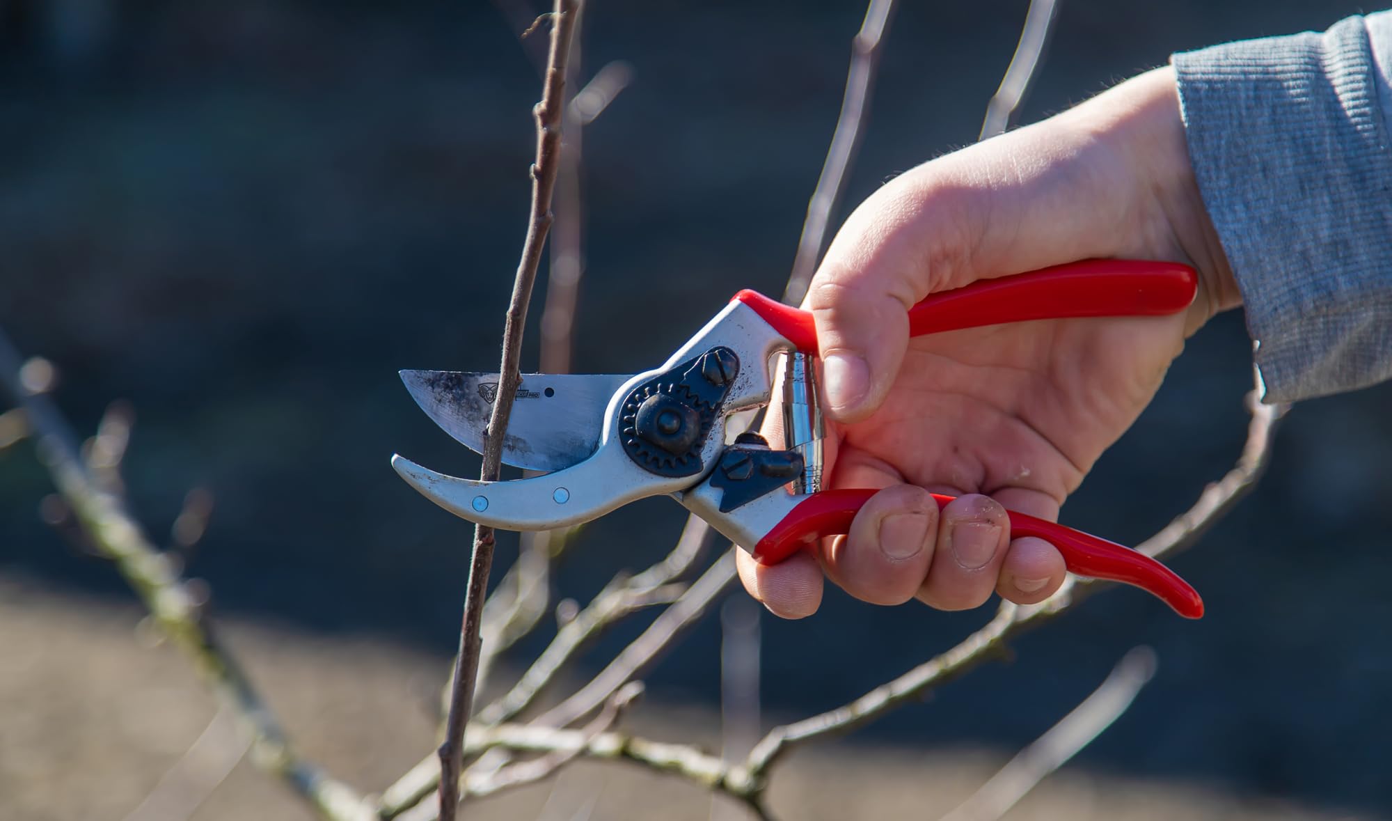 SwissCut Pro held in hand to show 8.5 inch scale for correct sizing and reach