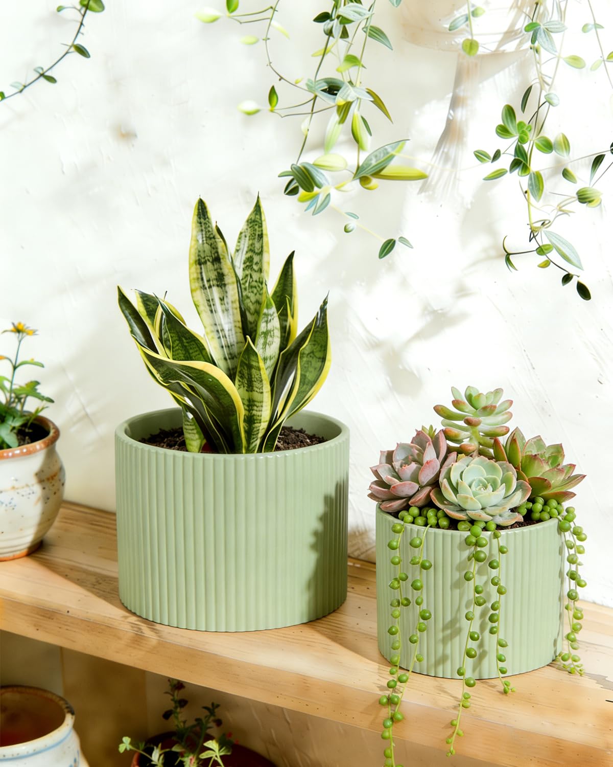 Swkien large pot with tall foliage on side table showing decorative centerpiece benefit