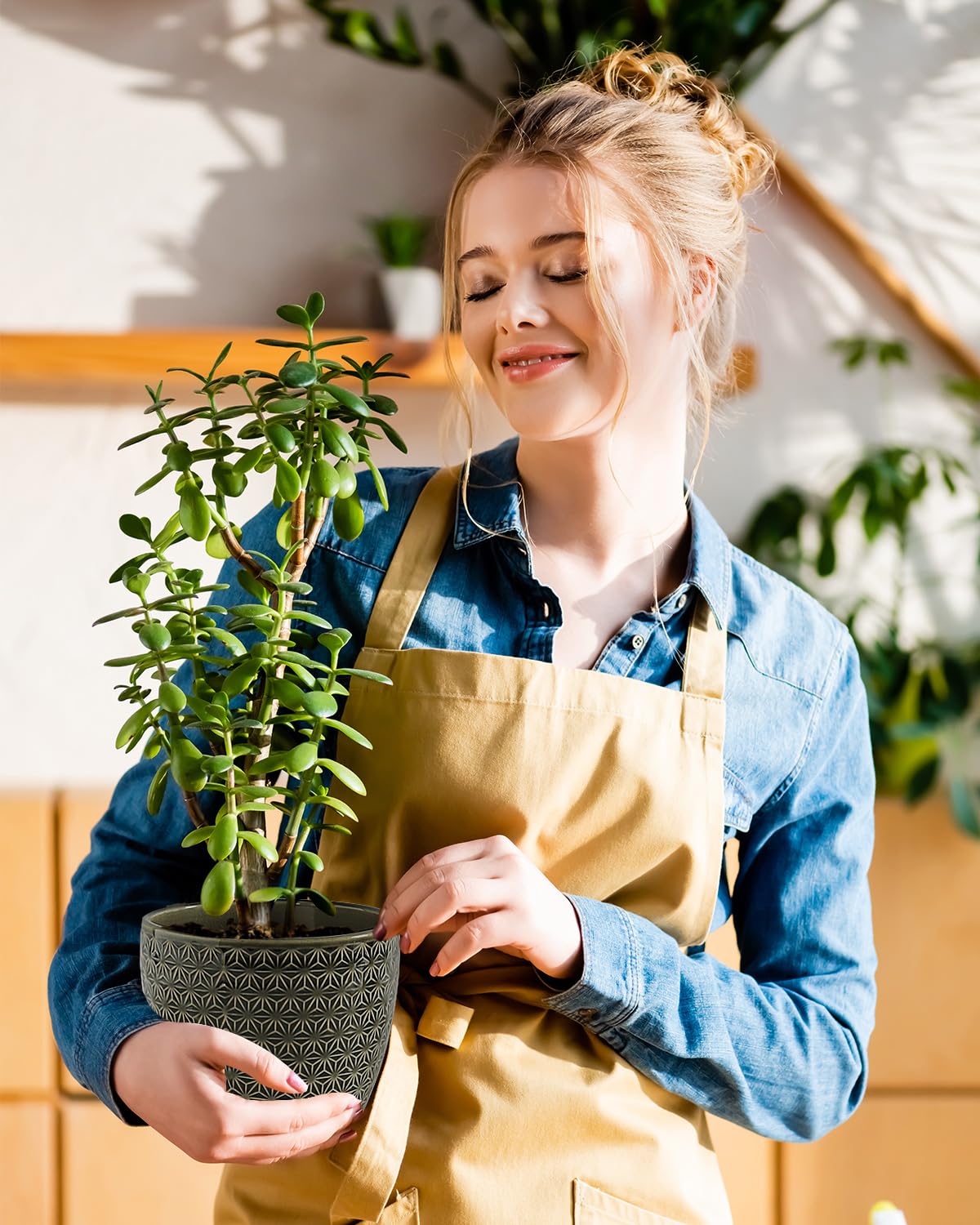 Swkien large pot planted with a fern showing healthy growth and decorative impact