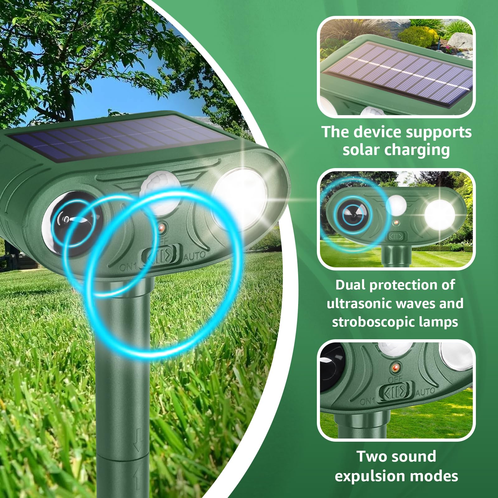 Sxaze placed 9–10 inches above ground showing ideal installation height