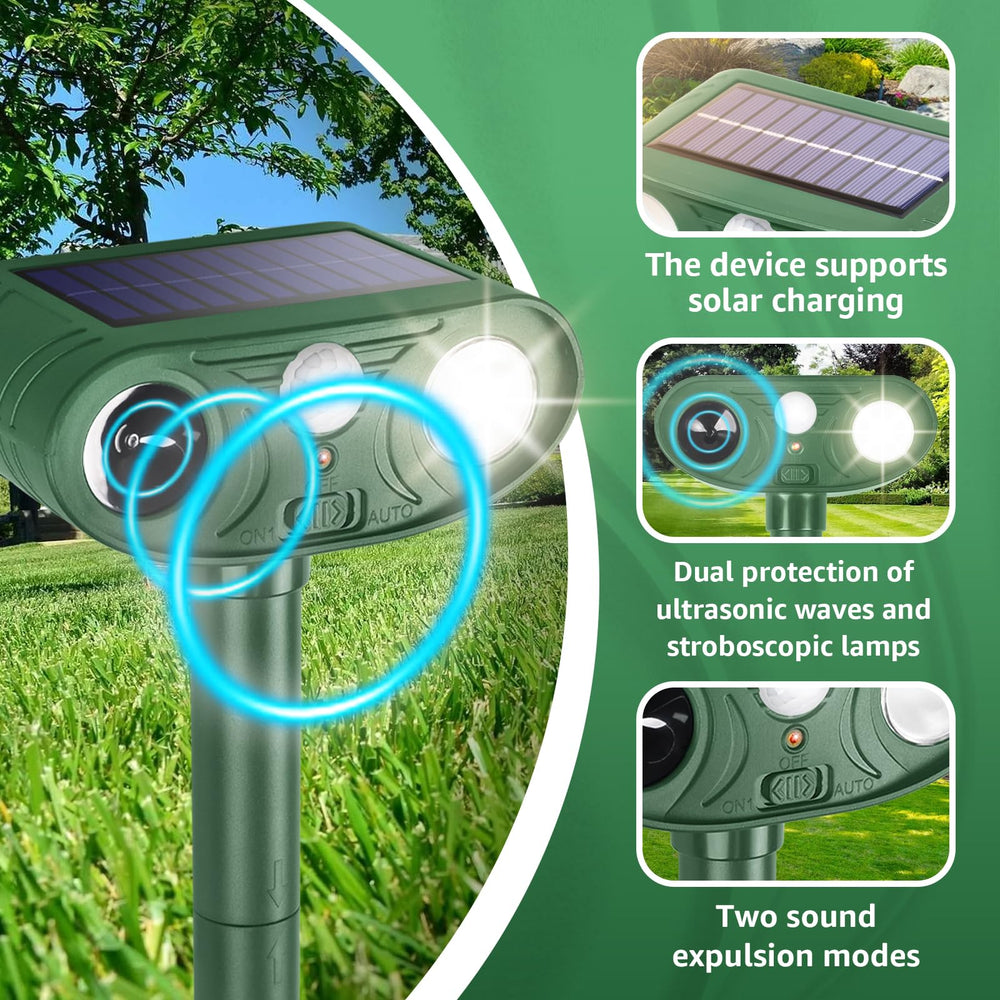 Sxaze placed 9–10 inches above ground showing ideal installation height