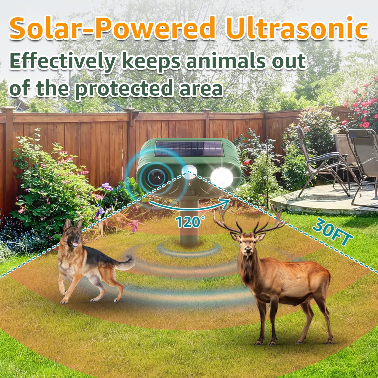 Sxaze in a garden setting protecting plants and vegetables humanely