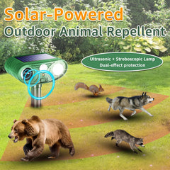 Sxaze infrared motion sensor detail for wide-angle animal detection