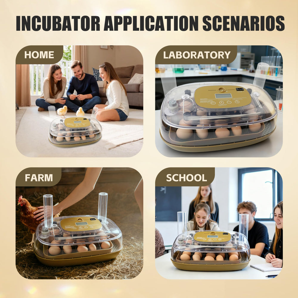 Syluris incubator in a classroom setting showing educational demonstration benefit