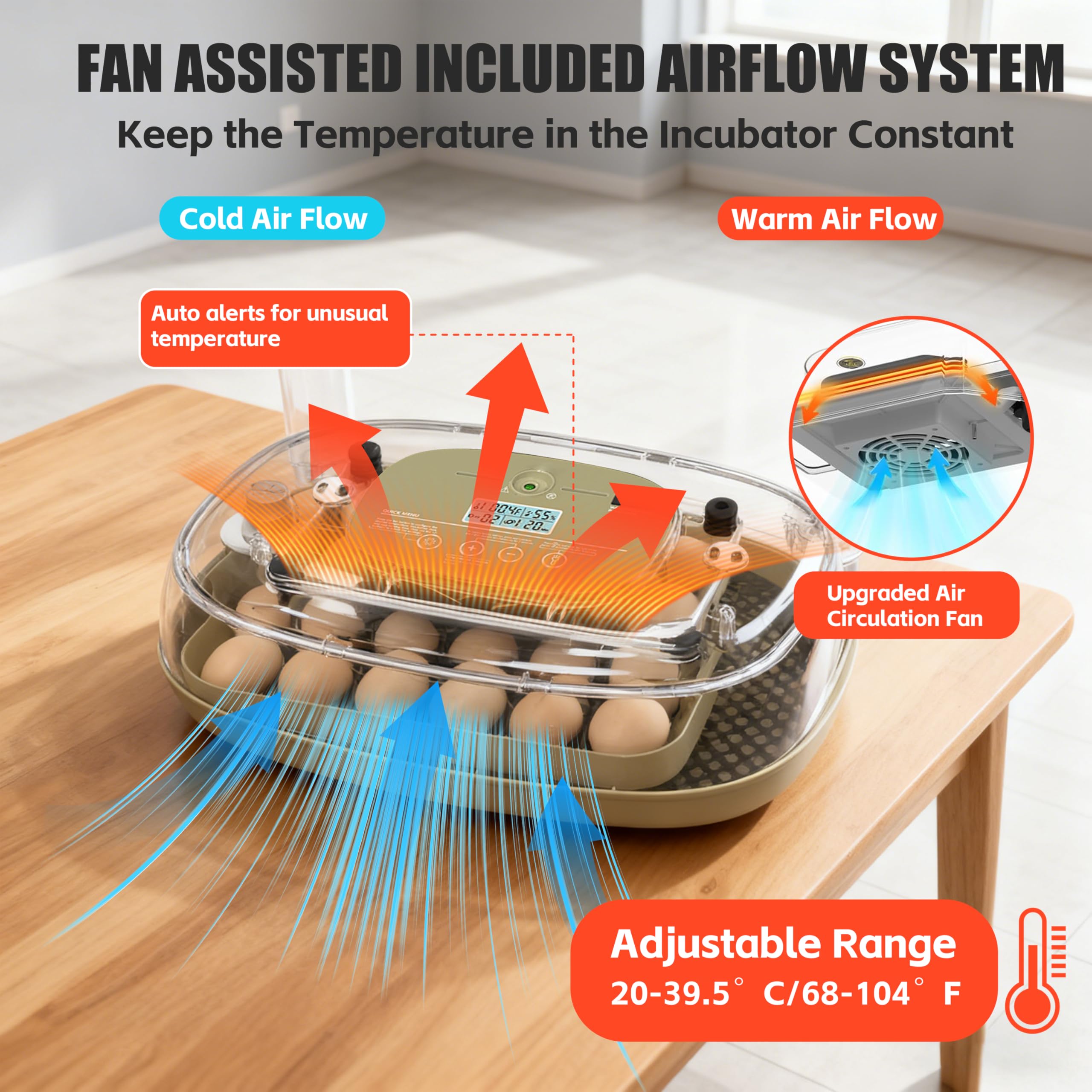 Syluris adjustable egg tray and dividers demonstrating flexible layout benefit