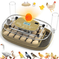 Syluris incubator front view showing compact design and capacity benefit