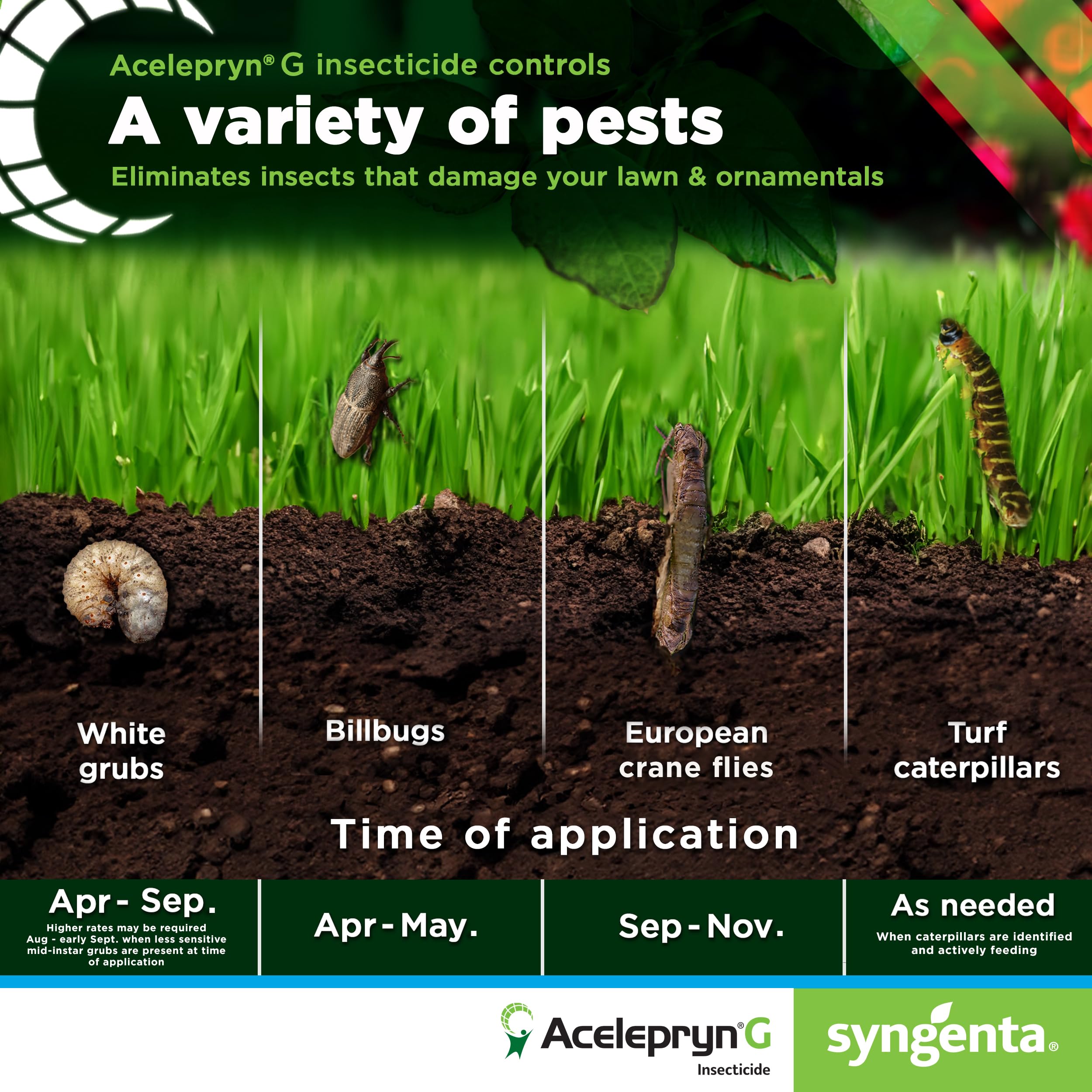 Syngenta Acelepryn G being broadcast with spreader demonstrating quick application across turf