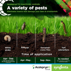 Syngenta Acelepryn G being broadcast with spreader demonstrating quick application across turf