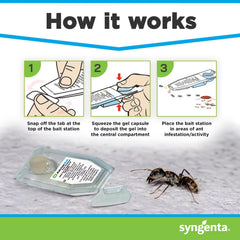 Syngenta Advion station placed on kitchen baseboard with ants nearby, indoor control benefit