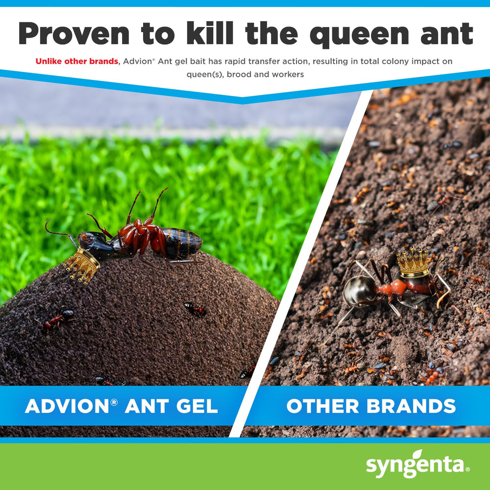Syngenta Advion station on patio by foundation crack, outdoor perimeter protection benefit