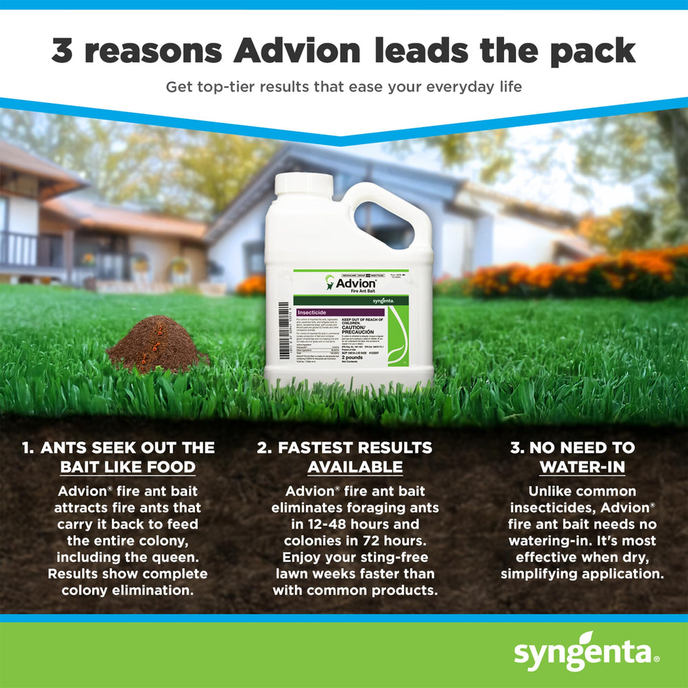 Syngenta Advion aplicado en montículo, control dirigido de colonia