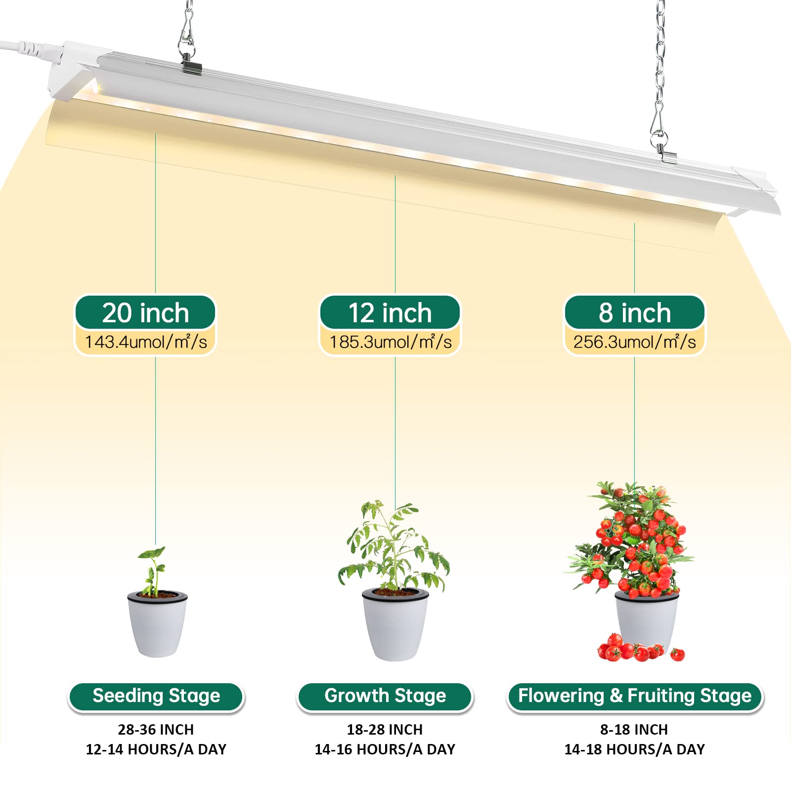 SZHLUX trapezoid profile angle showing broader luminous area for more even plant light