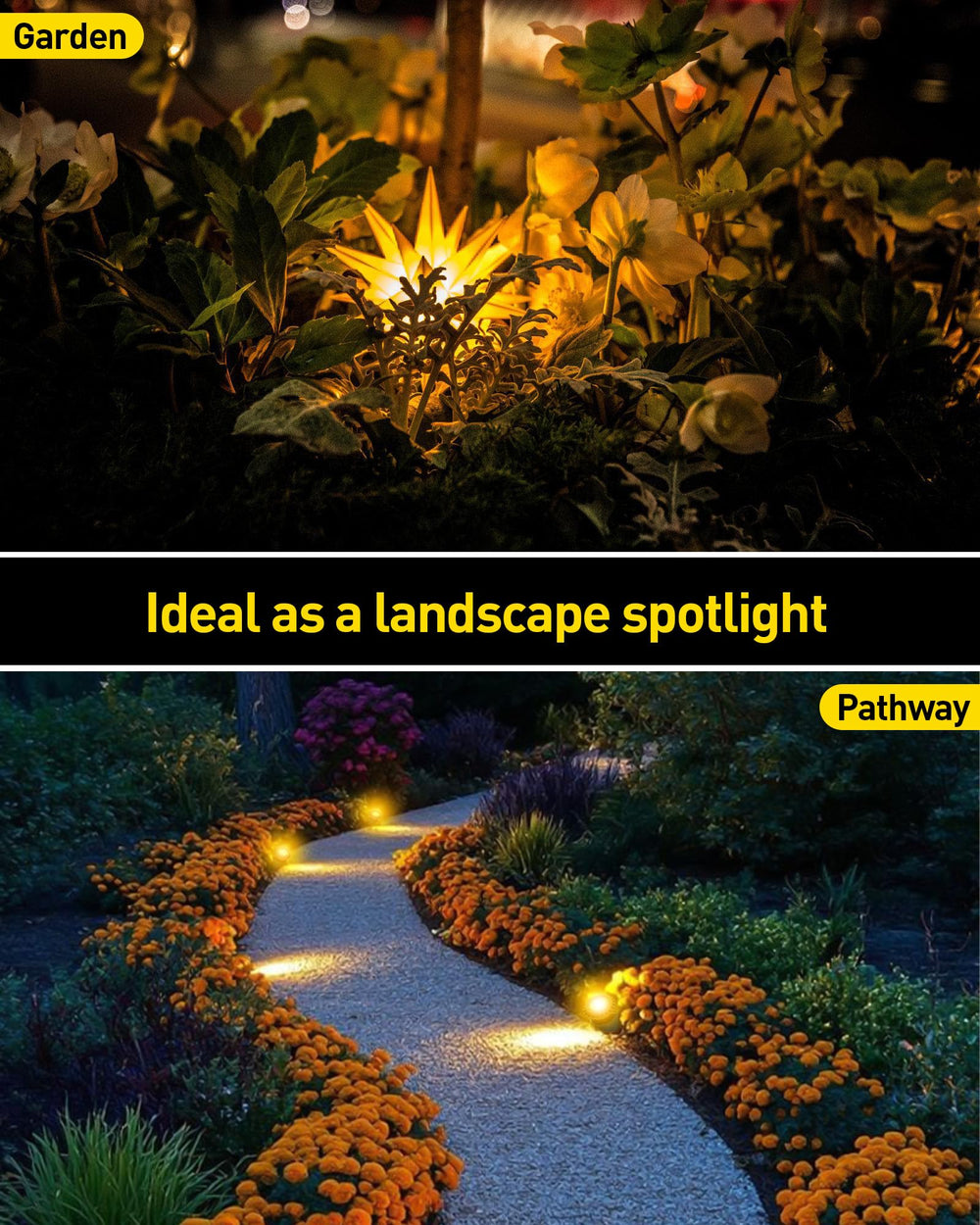 T-SUN lit garden at night creating colorful ambiance around water