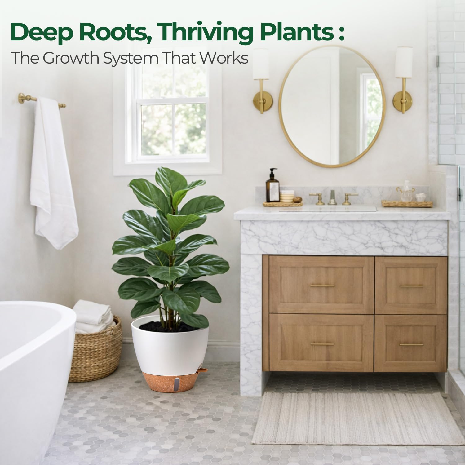 T4U 12-inch with monstera beside chair showing size and proportion in room