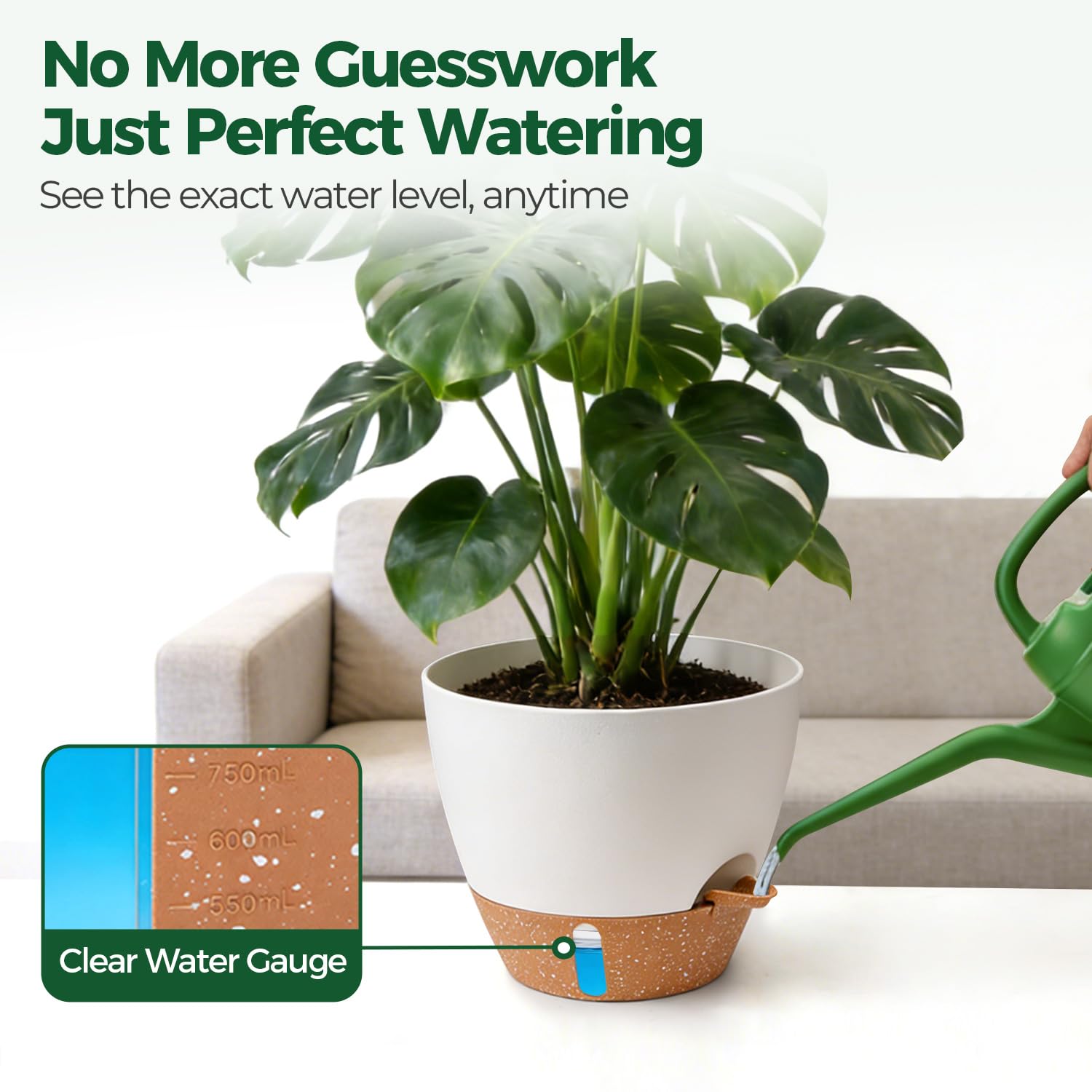T4U 8-inch pot with succulent on desk showing compact plant care benefit