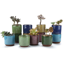 T4U front view of all twelve mini ceramic pots showing neat packaging and compact size benefit