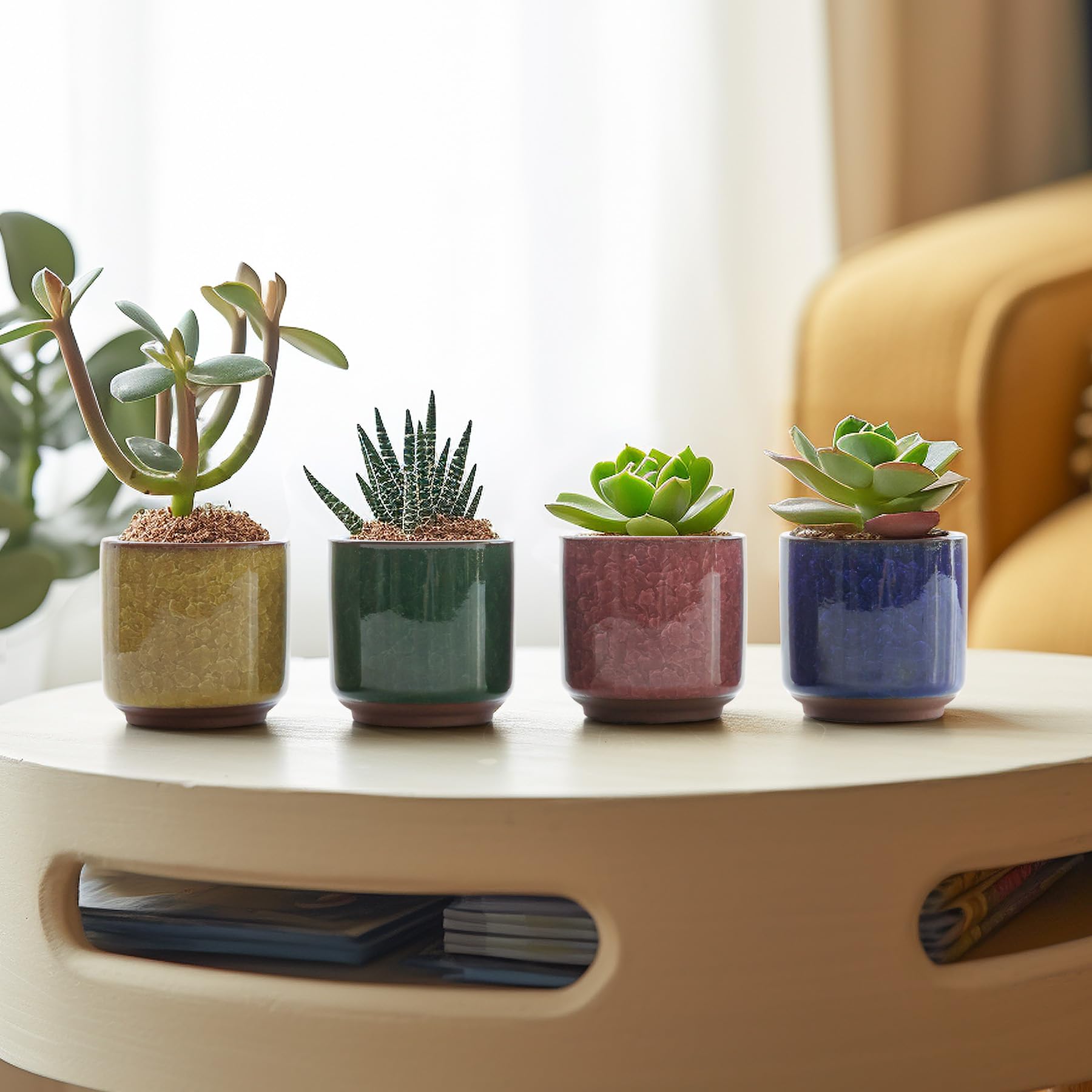T4U pots on an office desk with a laptop, adding greenery and compact decoration benefit
