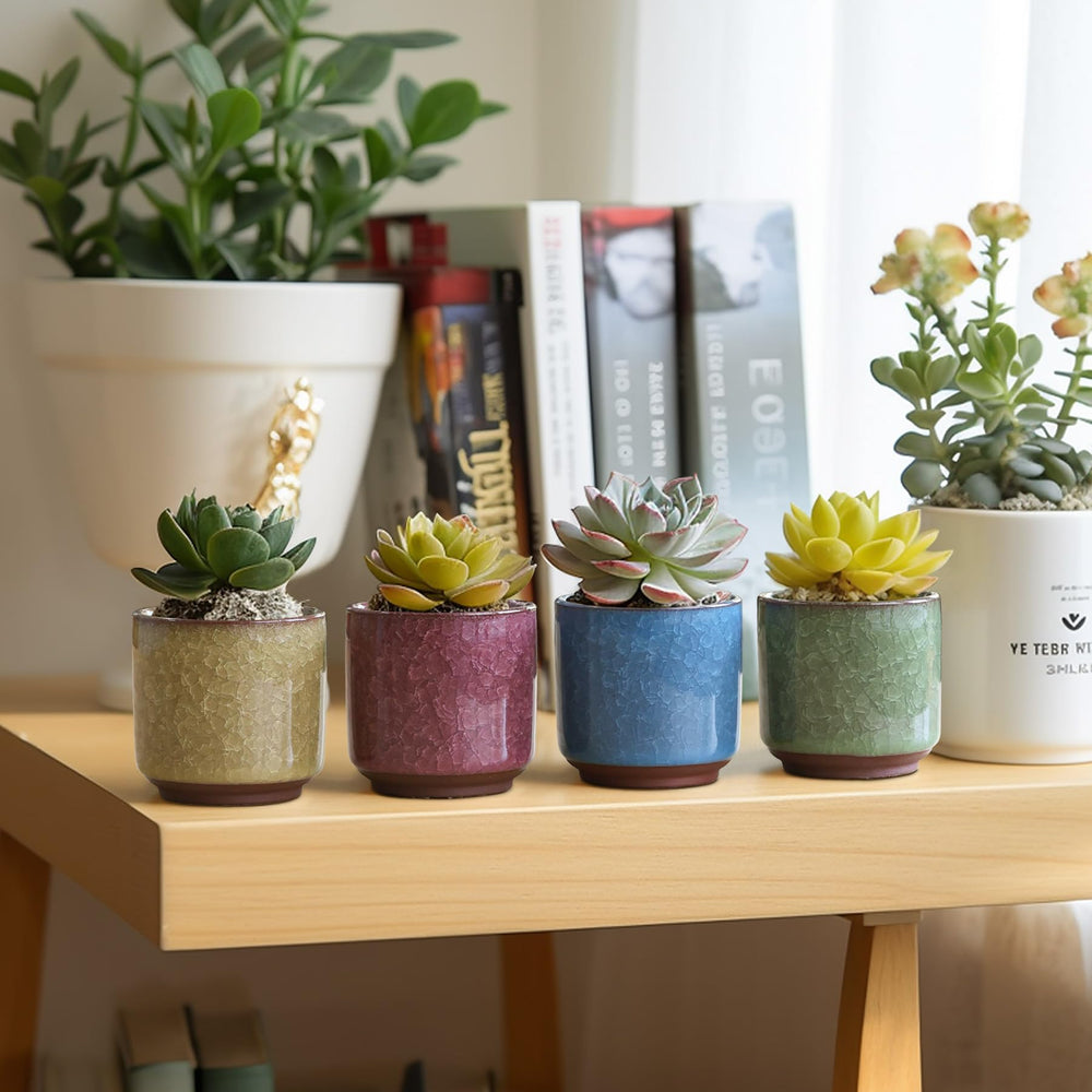 T4U pot beside ruler illustrating 2.5-inch scale for accurate space planning benefit