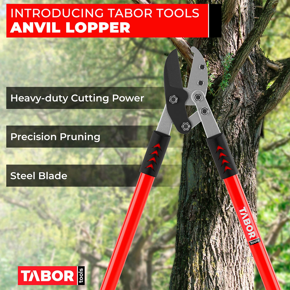 TABOR TOOLS blade close-up highlighting hardened steel for lasting sharpness