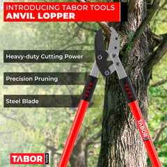 TABOR TOOLS blade close-up highlighting hardened steel for lasting sharpness
