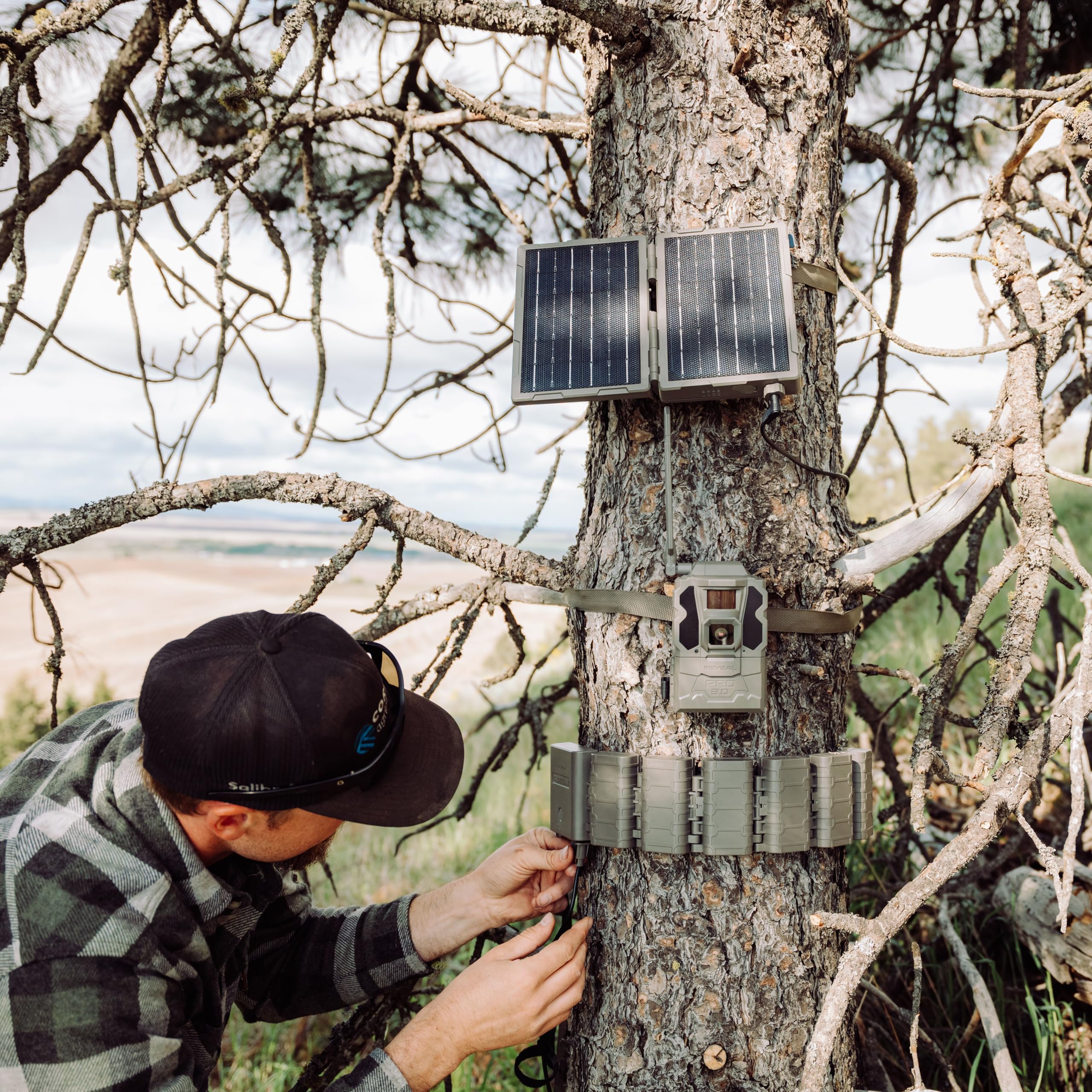 tactacam lifestyle wildlife monitoring scene improving continuous surveillance