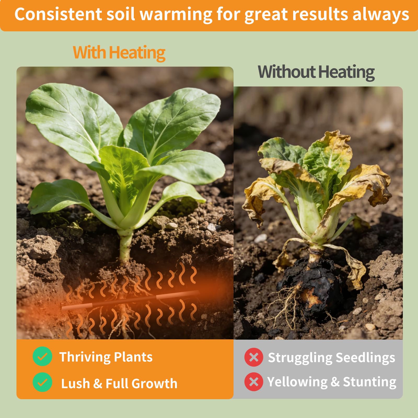 TAFALAA cable installed in greenhouse bed illustrating even root-zone warming benefit