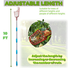 TAILERNRUYE extended to 10 ft reaching high fruit for ladder-free harvesting
