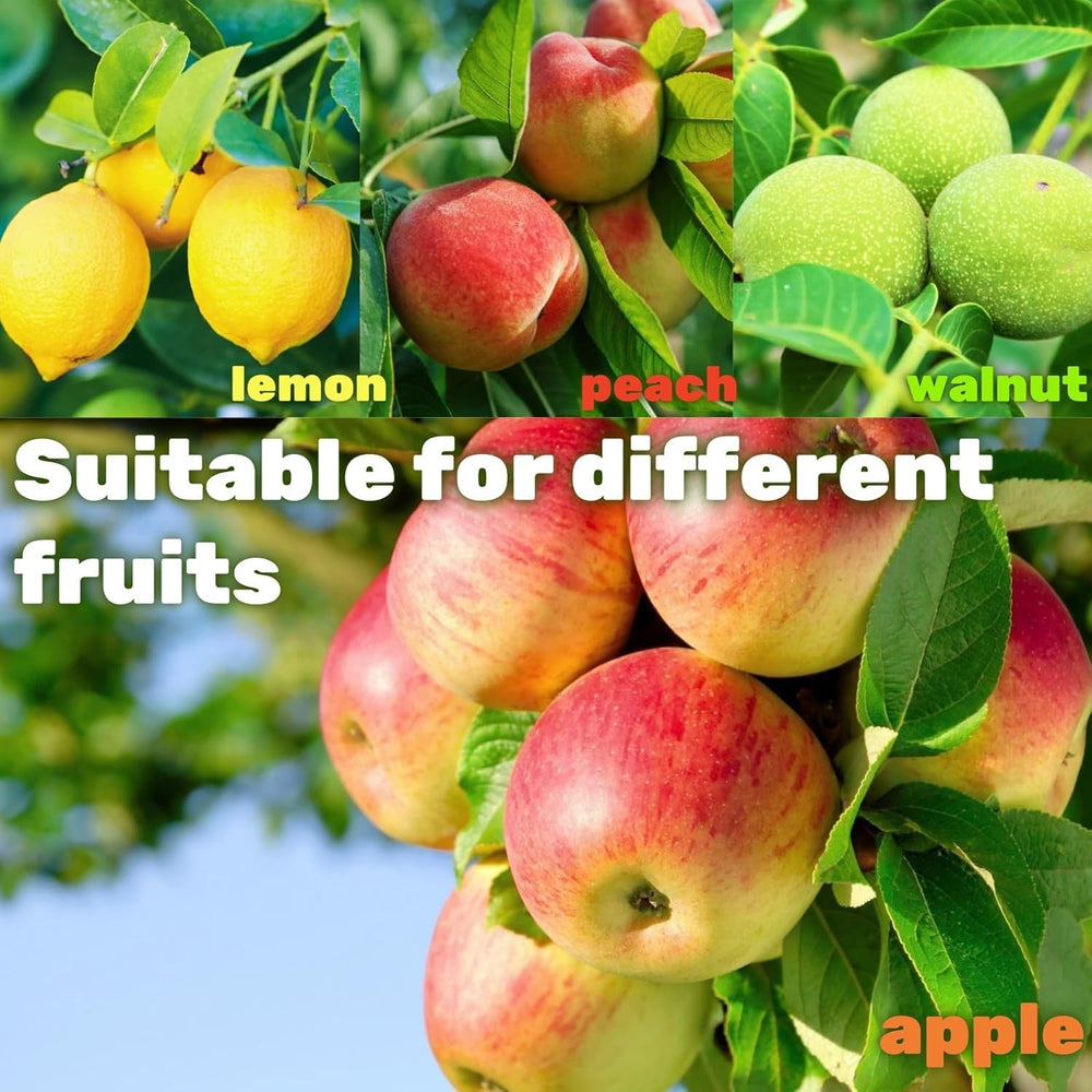 TAILERNRUYE in a backyard orchard showing comfortable, efficient fruit picking
