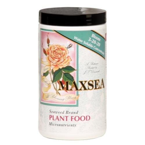 Talent Maxsea Bloom front pack showing label and bloom-focused benefits