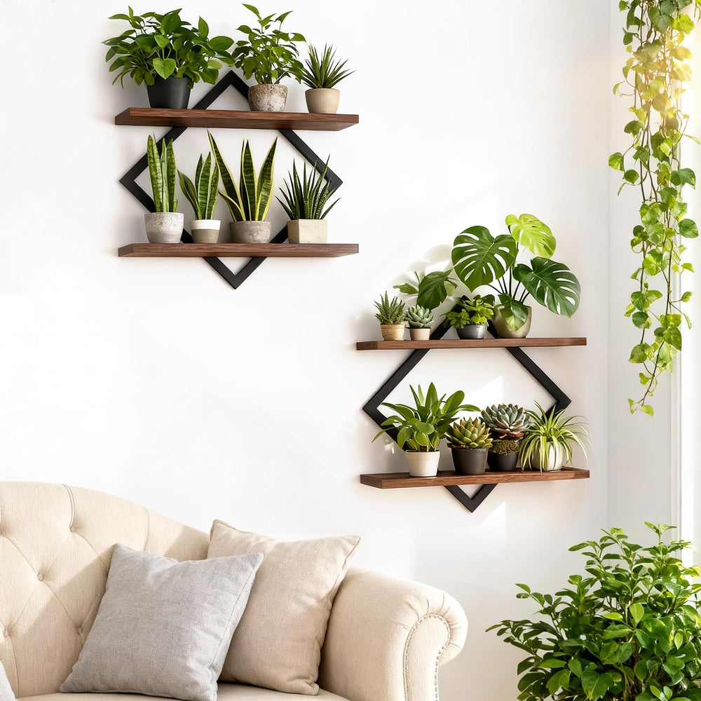 TALVADI front view brown shelves showing clean modern plant display benefit