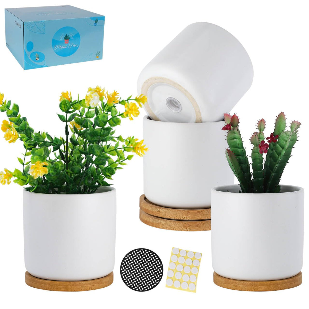 TAMAYKIM front view of four white ceramic planters showing clean styling and cohesion