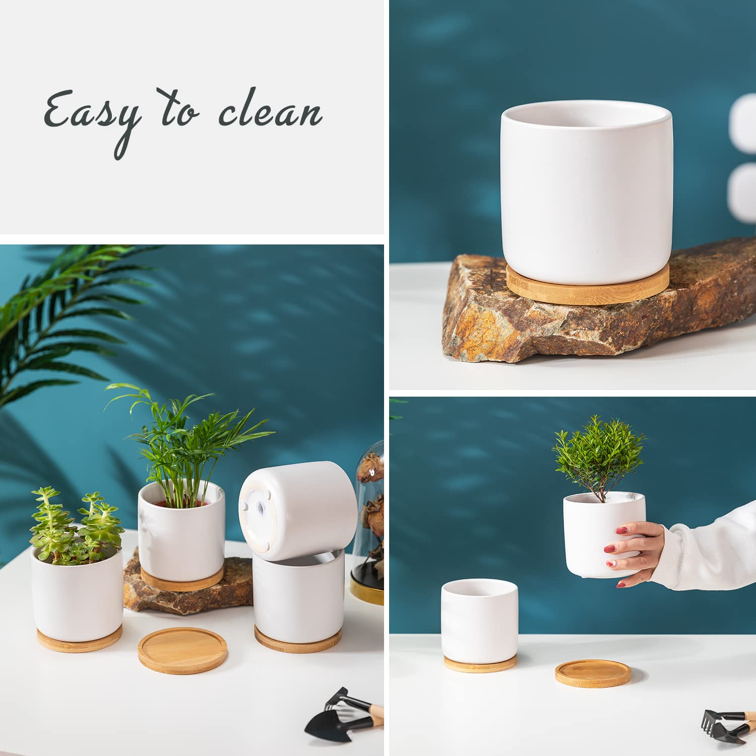 TAMAYKIM lifestyle windowsill display with succulents showing decorative and space-saving benefit