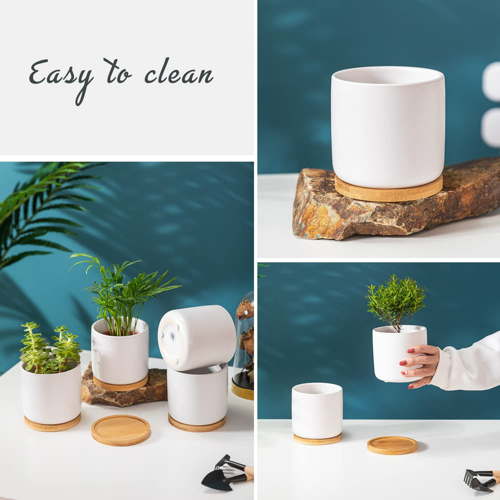 TAMAYKIM lifestyle windowsill display with succulents showing decorative and space-saving benefit