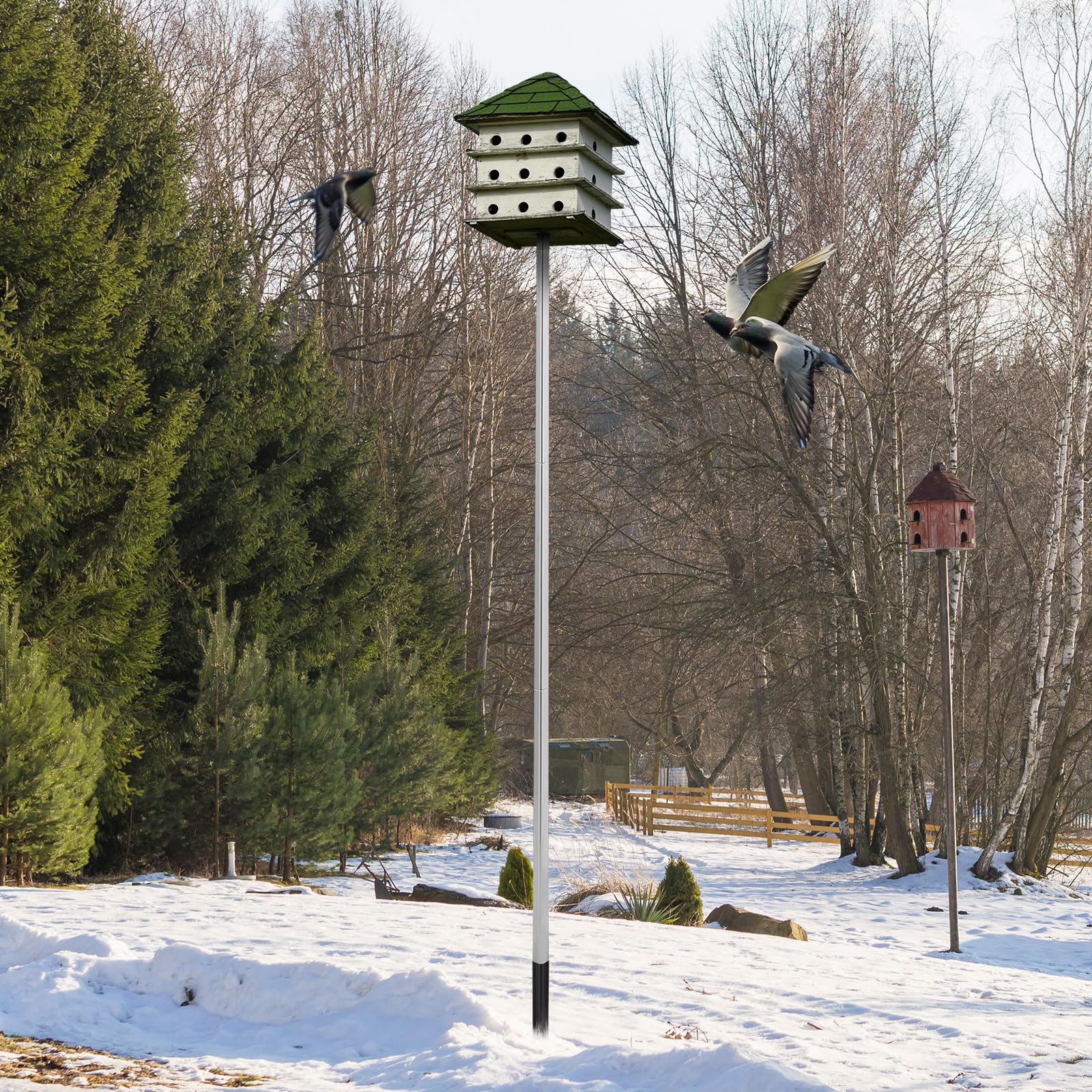 Tandefio fully extended to 15 feet demonstrating elevated viewing and protection