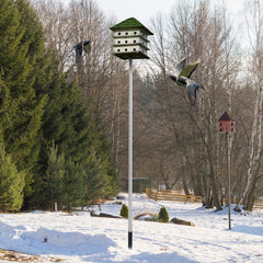 Tandefio extended pole with Purple Martin house enabling ideal height