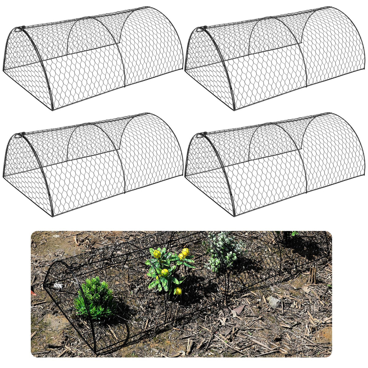 Tandefio front view pack of four cloches protecting seedlings and saving time