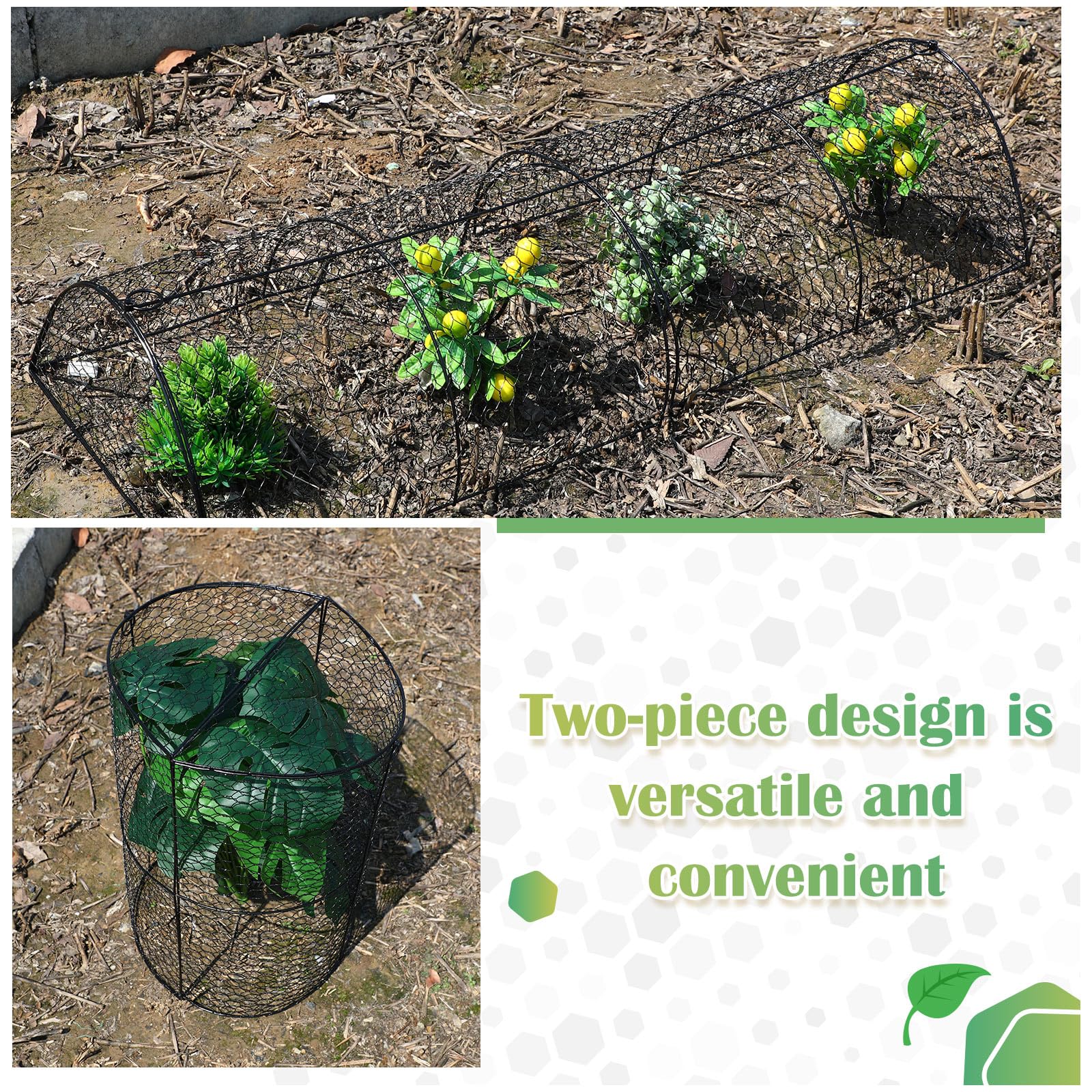 Tandefio height and scale comparison illustrating clearance for growing plants