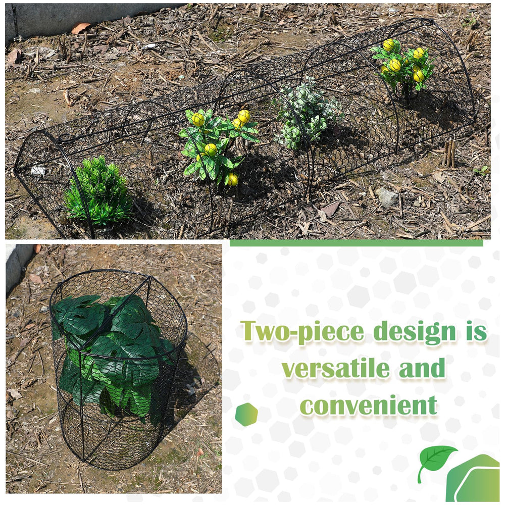 Tandefio height and scale comparison illustrating clearance for growing plants