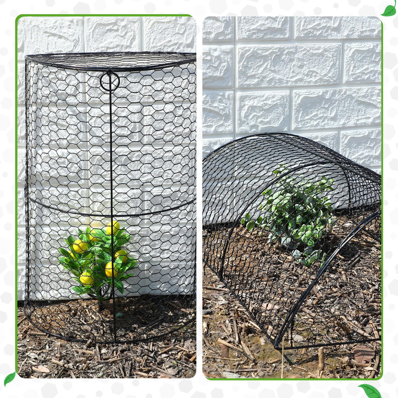 Tandefio cloche in use over seedlings blocking rabbits and birds from damage