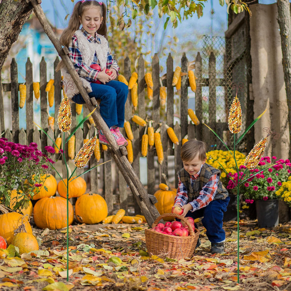 Tandefio styled on porch with pumpkins creating inviting harvest display
