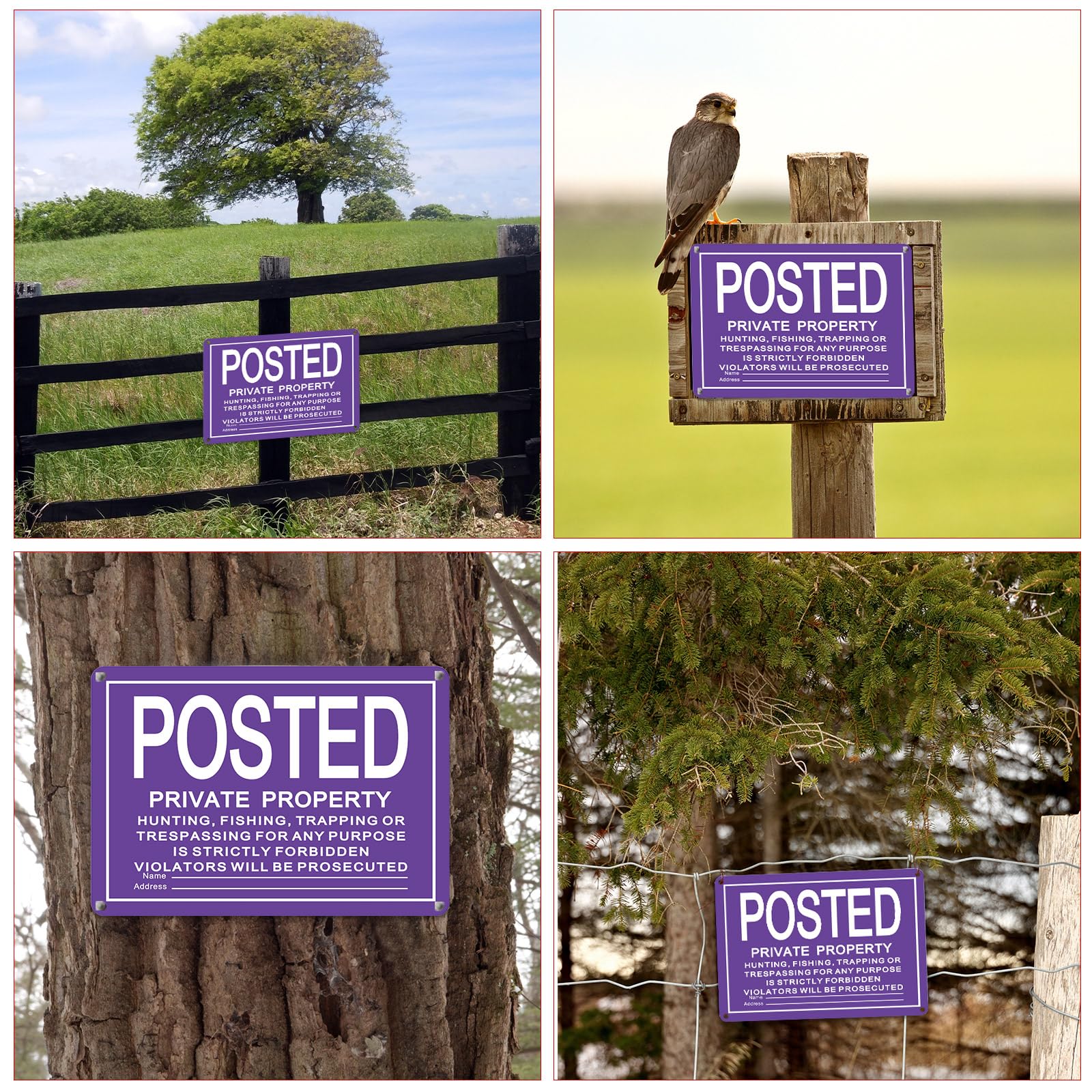 Tandefio sign attached to a tree marking trailhead and deterring trespassers