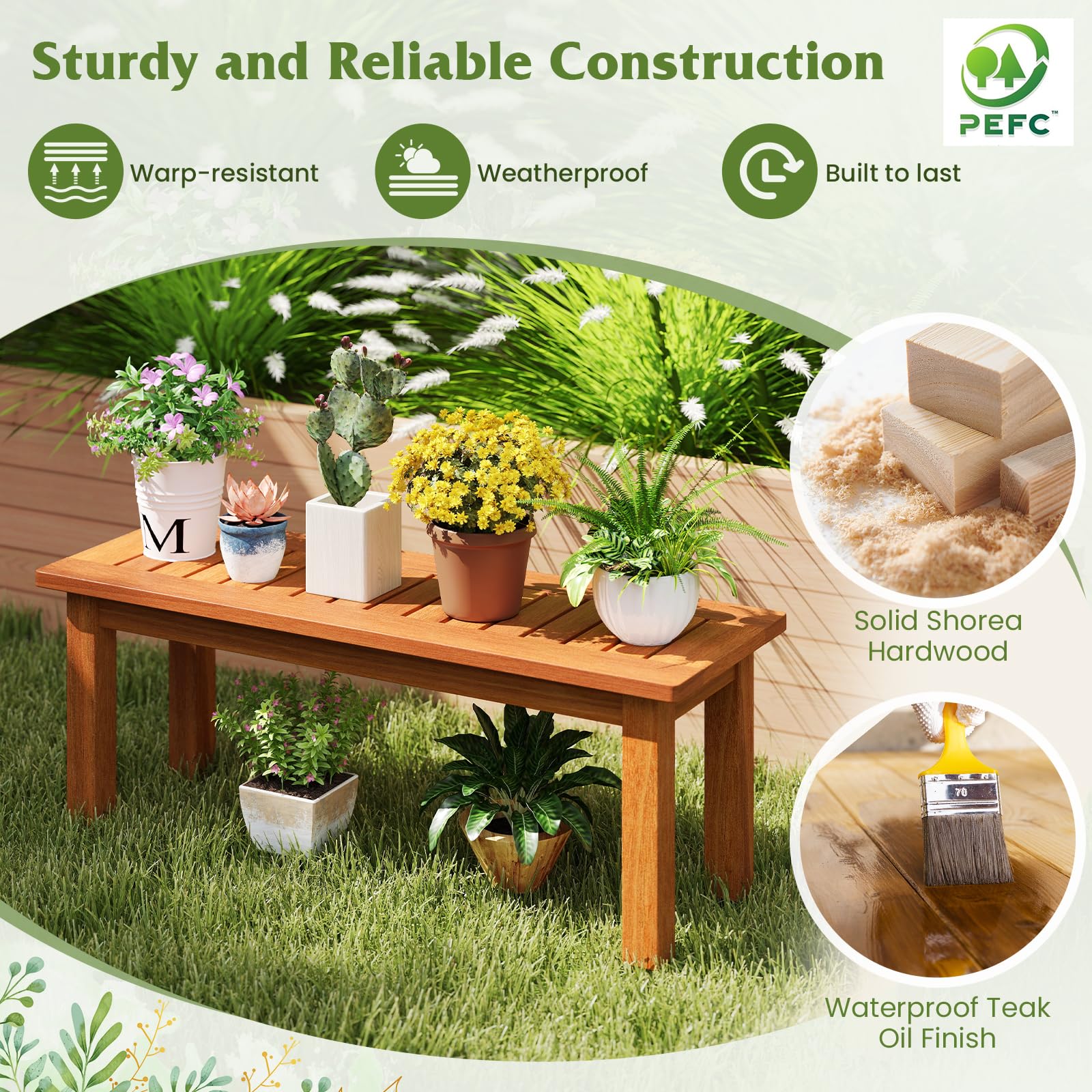 Tangkula with various pots to show size scale and versatile capacity