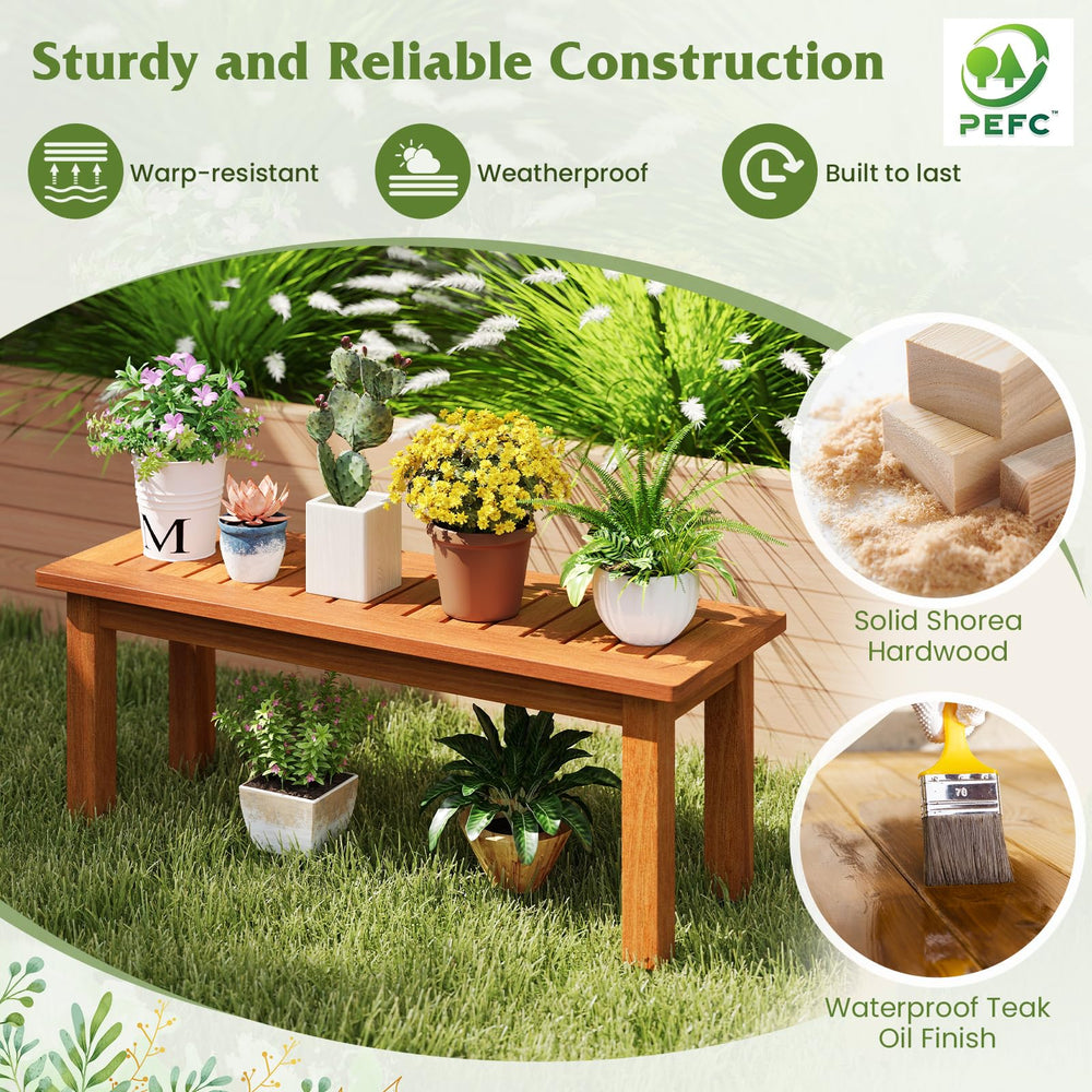 Tangkula with various pots to show size scale and versatile capacity