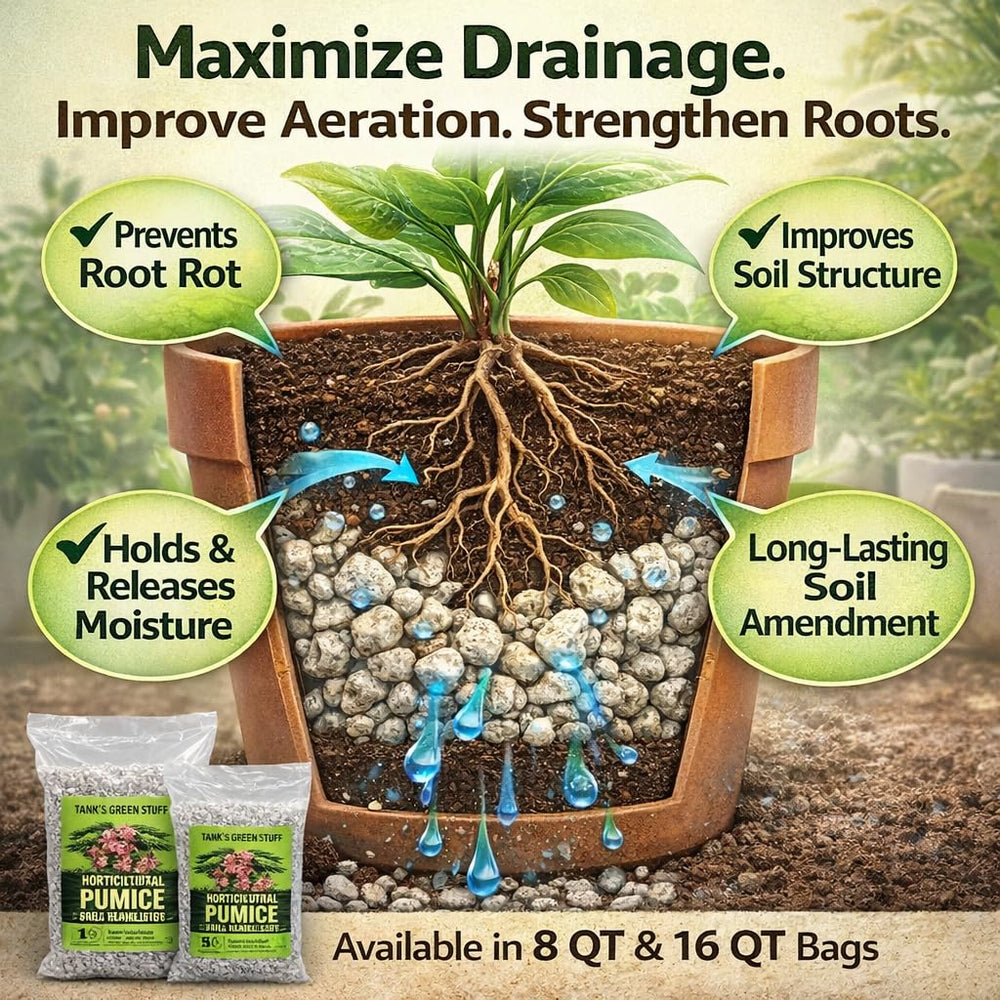 Tank's Green Stuff pumice around roots demonstrating better airflow