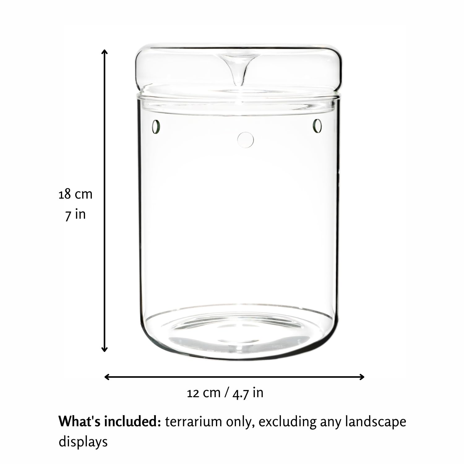 Tanzeon close-up of borosilicate glass clarity that improves light and plant visibility