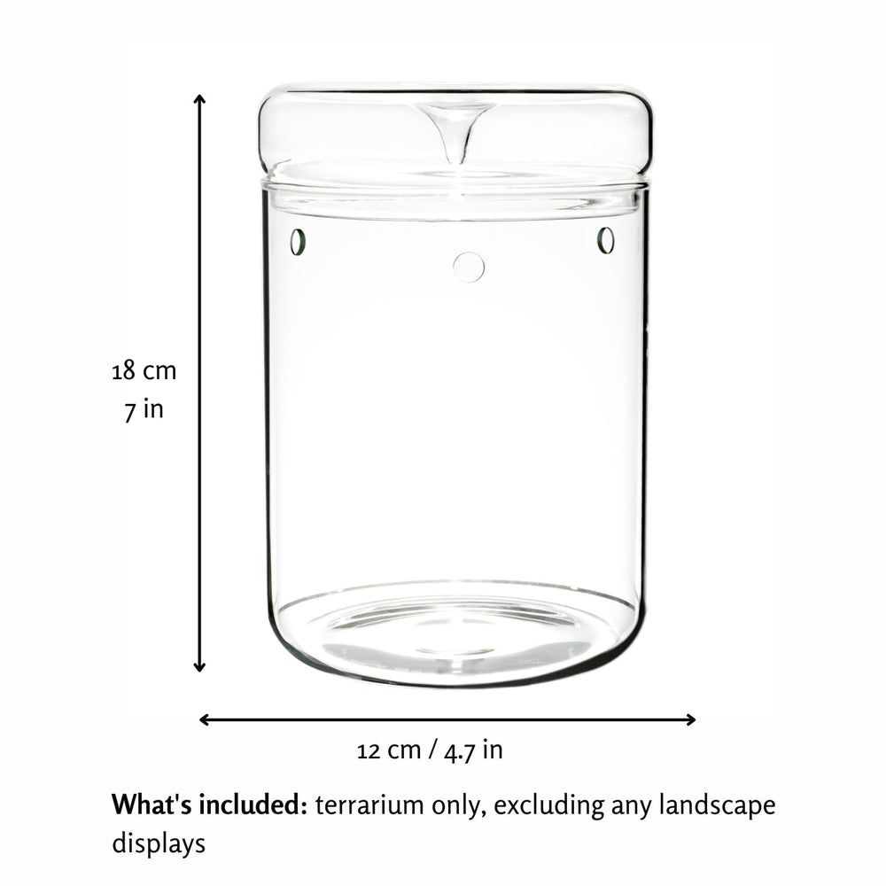 Tanzeon close-up of borosilicate glass clarity that improves light and plant visibility