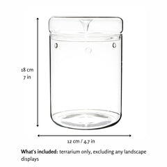 Tanzeon close-up of borosilicate glass clarity that improves light and plant visibility