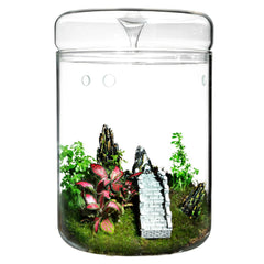 Tanzeon front view of closed terrarium jar showing compact planted display and easy decor
