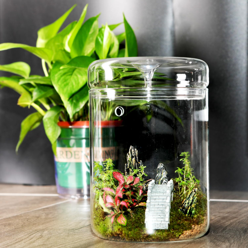 Tanzeon terrarium in use on office desk adding greenery and low-maintenance decoration