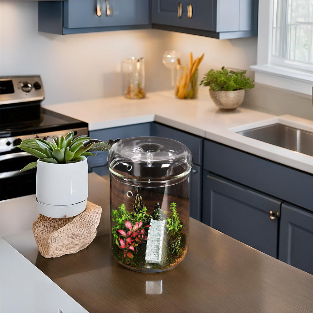 Tanzeon side profile showing tall jar proportions and tabletop scale for small spaces